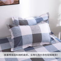 恬梦家纺老粗布枕套 枕头套一对装 成人48x74cm纯棉加厚单人枕用
