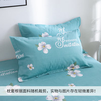 恬梦家纺老粗布枕套 枕头套一对装 成人48x74cm纯棉加厚单人枕用