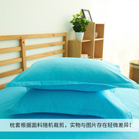 恬梦家纺老粗布枕套 枕头套一对装 成人48x74cm纯棉加厚单人枕用