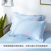 恬梦家纺老粗布枕套 枕头套一对装 成人48x74cm纯棉加厚单人枕用