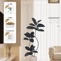 仿真绿植黑金刚橡皮树室内客厅大型盆栽高端轻奢仿生假树植物摆件