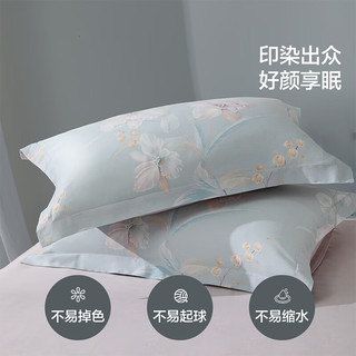 百丽丝水星家纺60支全棉贡缎 纯棉对枕套单件全棉枕头罩一对48x74cm