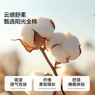 百丽丝水星家纺60支全棉贡缎 纯棉对枕套单件全棉枕头罩一对48x74cm