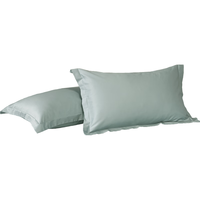 百丽丝水星家纺纯棉对枕套100支长绒棉枕套 四季纯色双人全棉枕巾 【100S长绒棉】素色对枕套灰