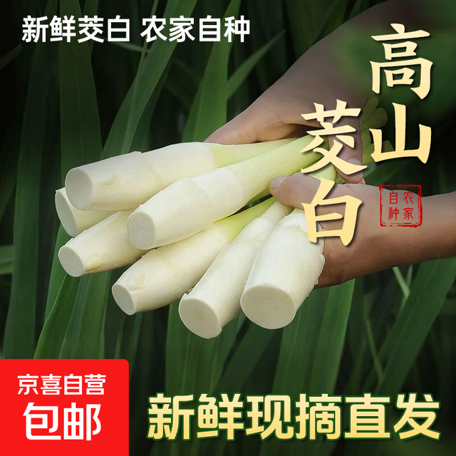京喜 新鲜茭白 上海青浦练塘特产 带壳茭白 1斤