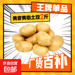 京喜加 新鲜黄心土豆农家自种黄皮马铃薯黄心洋芋新鲜蔬菜 2斤