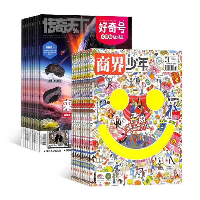 《好奇号》+《商界少年》（2026年1月起订 共12个月订阅）