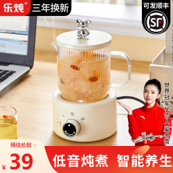 乐炖 养生壶迷你养生杯电炖杯办公室煮茶壶