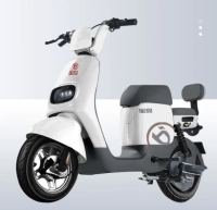 国家补贴：宝岛电动车 BODO 电动自行车N18锂电48V24Ah星恒锂电长续航80km 塔夫白