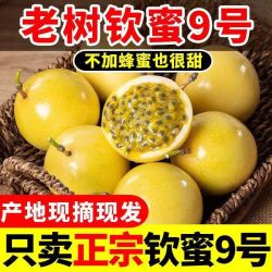 猴子兔 云南钦密9号黄金百香果5斤大果新鲜当季水果广西爆甜多汁
