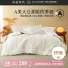 水星家纺 A类抗菌大豆冬被/四季被 含十孔纤维被芯秋冬保暖全棉面料被子 伊美全棉亲肤大豆四季被3代
