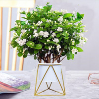 意轩 带花苞 茉莉花苗白茉莉盆栽重瓣茉莉苗绿植花卉室内盆栽花卉盆栽 白茉莉 2年苗