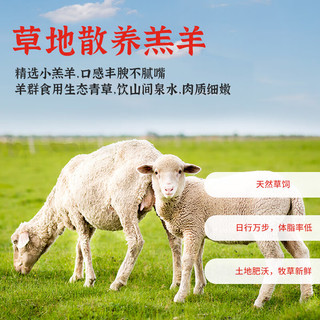 羊德隆内蒙古羊蝎子切块净重4斤 手把羊肉炖煮火锅食材生鲜源头直发 【火锅食材】羊蝎子4斤