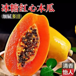 相遇红颜 红心木瓜 净重5斤