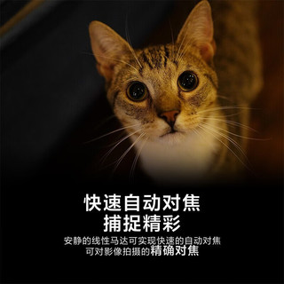  SONY/索尼 全画幅定焦镜头