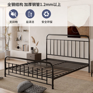  TIANTAN/天坛家具 现代简约 铁艺床  黑色床（不含床垫） 1.8*2.0m 1.0*2.0m
