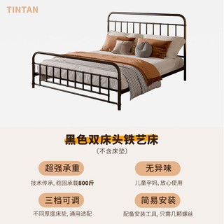  TIANTAN/天坛家具 现代简约 铁艺床  黑色床（不含床垫） 1.8*2.0m 1.0*2.0m