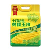 SHI YUE DAO TIAN/十月稻田 香甜 黄糯玉米