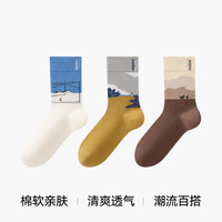 松山棉店雅趣袜子棉柔百搭透气中筒袜棉袜子长袜潮袜礼盒3条装