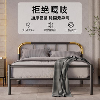 天坛家具铁艺床经典单双人钢木铁床现代环保简约小户型黑白色铁艺婚床 黑床+21cm弹簧床垫 1.5*2.0m