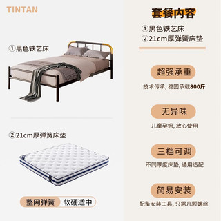 天坛家具铁艺床经典单双人钢木铁床现代环保简约小户型黑白色铁艺婚床 黑床+21cm弹簧床垫 1.5*2.0m