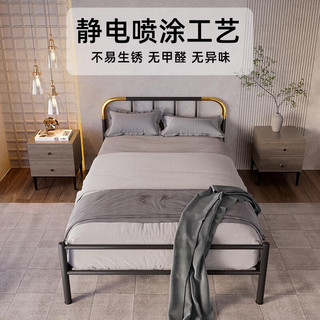 天坛家具铁艺床经典单双人钢木铁床现代环保简约小户型黑白色铁艺婚床 黑床+21cm弹簧床垫 1.5*2.0m