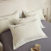 朴顿庄园轻奢水洗棉绣花枕套冬季磨毛加厚刺绣枕头套成人单人通用单只一对 纯白 一对2只 48*74cm