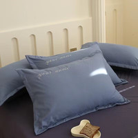 朴顿庄园轻奢水洗棉绣花枕套冬季磨毛加厚刺绣枕头套成人单人通用单只一对 深蓝 一对2只 48*74cm
