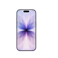 苹果 Apple iphone17 256g