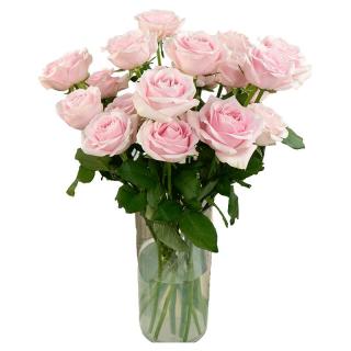 京东鲜花 双11云南昆明基地直发色玫瑰买20枝送10枝家庭鲜花源头直发