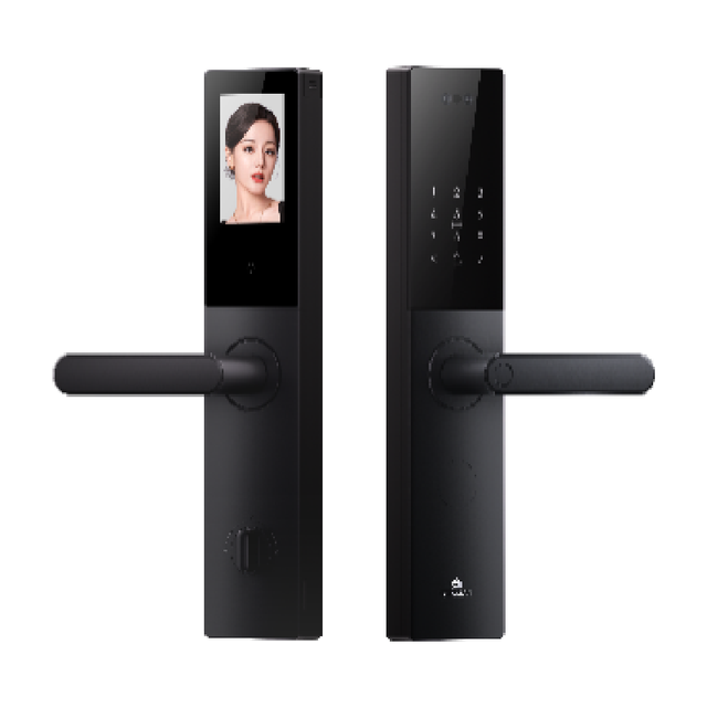 德施曼 V20F 3D人脸识别 典雅黑 智能门锁