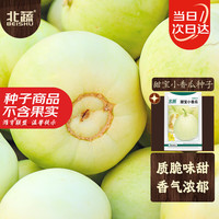 北蔬 甜宝小香瓜种子 5g 白肉