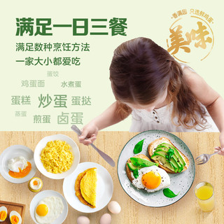 香满园可生食 鲜鸡蛋礼盒装 40枚 Plus联名款 4斤 源头直发