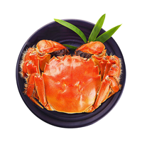 【活蟹】蟹叁钳庄 大闸蟹公4.3-4.6两母3.3-3.6两4对8只鲜活螃蟹生鲜水产海鲜礼盒