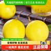 喵满分 广西钦蜜9号黄金百香果应季水果纯甜特大百香果新鲜现摘