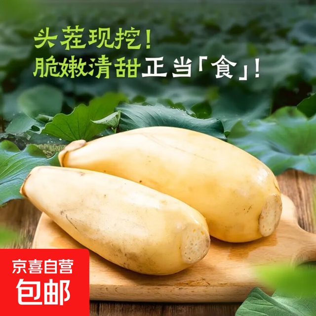 京喜加 微山湖新鲜莲藕脆嫩多汁 精品莲藕-1斤