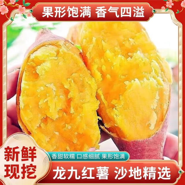 京喜加 新鲜黄心蜜薯龙九红薯 中大果（单果3-8两）2斤