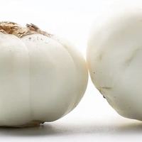 小马乐活 兰州鲜百合 量贩家庭装12-15头*1袋250g