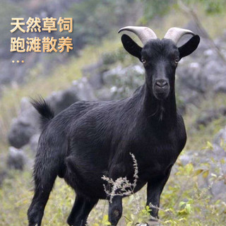 谷开元 清真食材 滩羊肉