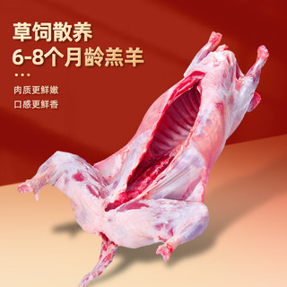  谷开元 清真食材 滩羊肉