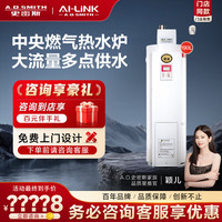 A.O.SMITH/史密斯 室内型 燃气中央热水器  天然气 16L
