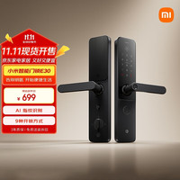 小米 Xiaomi XMZNMST10LK 智能门锁 E30
