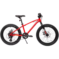 迪卡侬（DECATHLON）EXPL900儿童自行车20寸8变速铝合金碟刹OVBK EXPL900