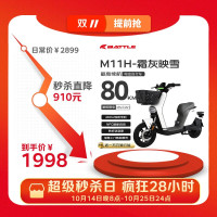 限地区：花小马 M11H 电动自行车 48v24ah