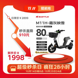 花小马 M11H 电动自行车 48v24ah