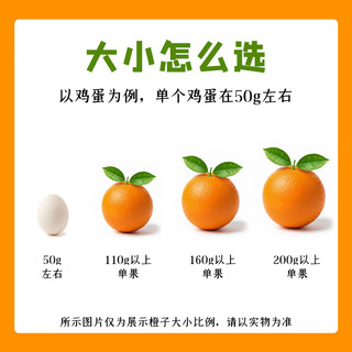 赣南脐橙 赣南脐橙 江西赣州橙子手剥橙新鲜水果礼盒当季现摘时令生鲜 10斤优选单果110-160g净重9斤+