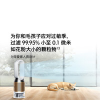戴森 dyson PH05 空气加湿智能净化器 黑金色