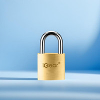 iGear 铜挂锁工具箱储物冰柜子宿舍学校仓库车厢门窗小锁芯防水防锈20mm