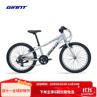 捷安特 XTC 20铝合金20寸7速V刹变速青少年自行车 浅铁灰 20×10 建议115-135cm