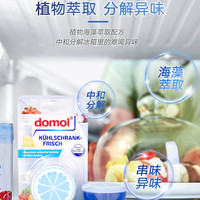 Domol 4305615652016 冰箱除味剂 40g 德国进口